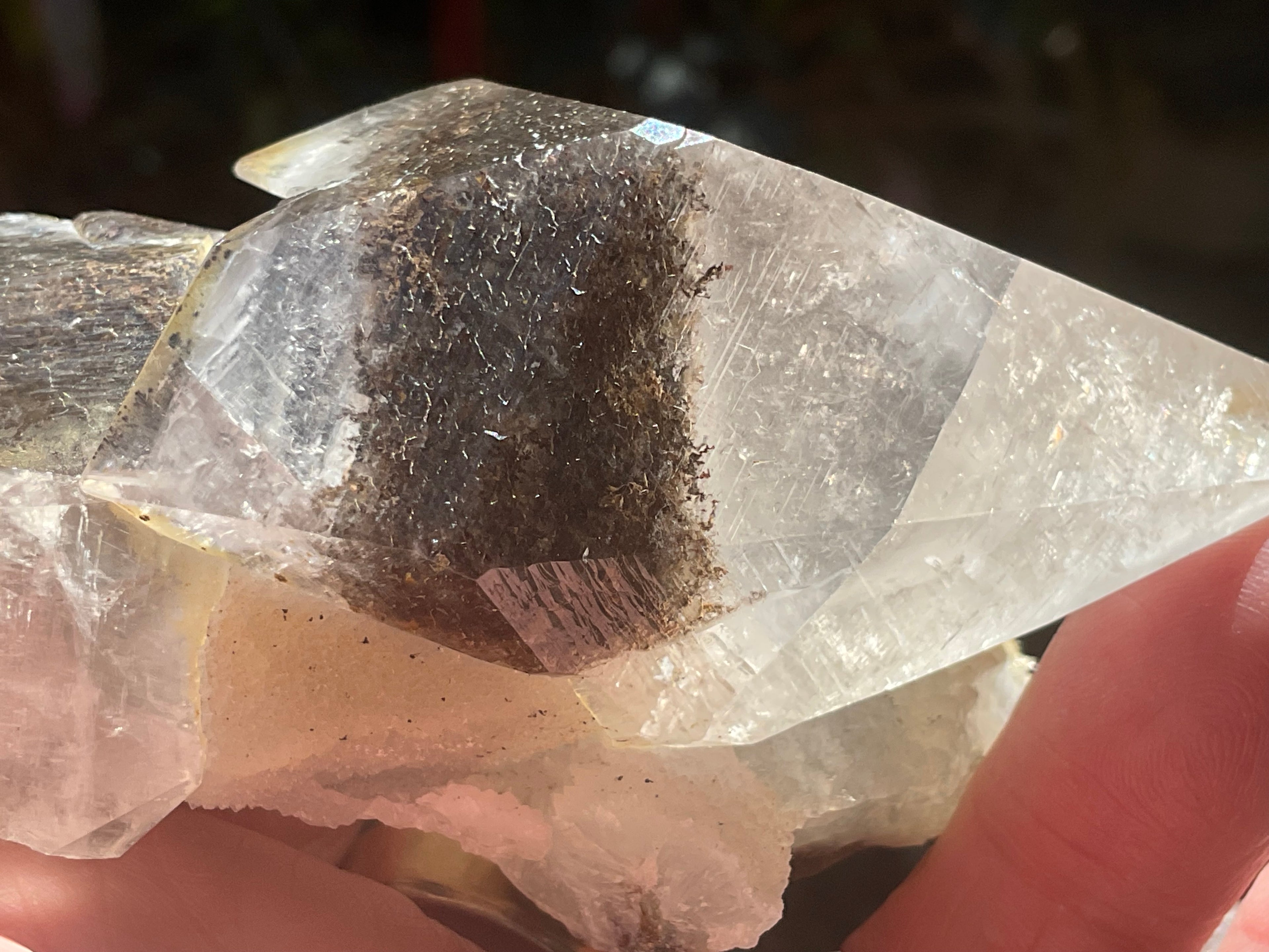 228g Dendritic Dog Tooth Calcite specimen from Fujian, China