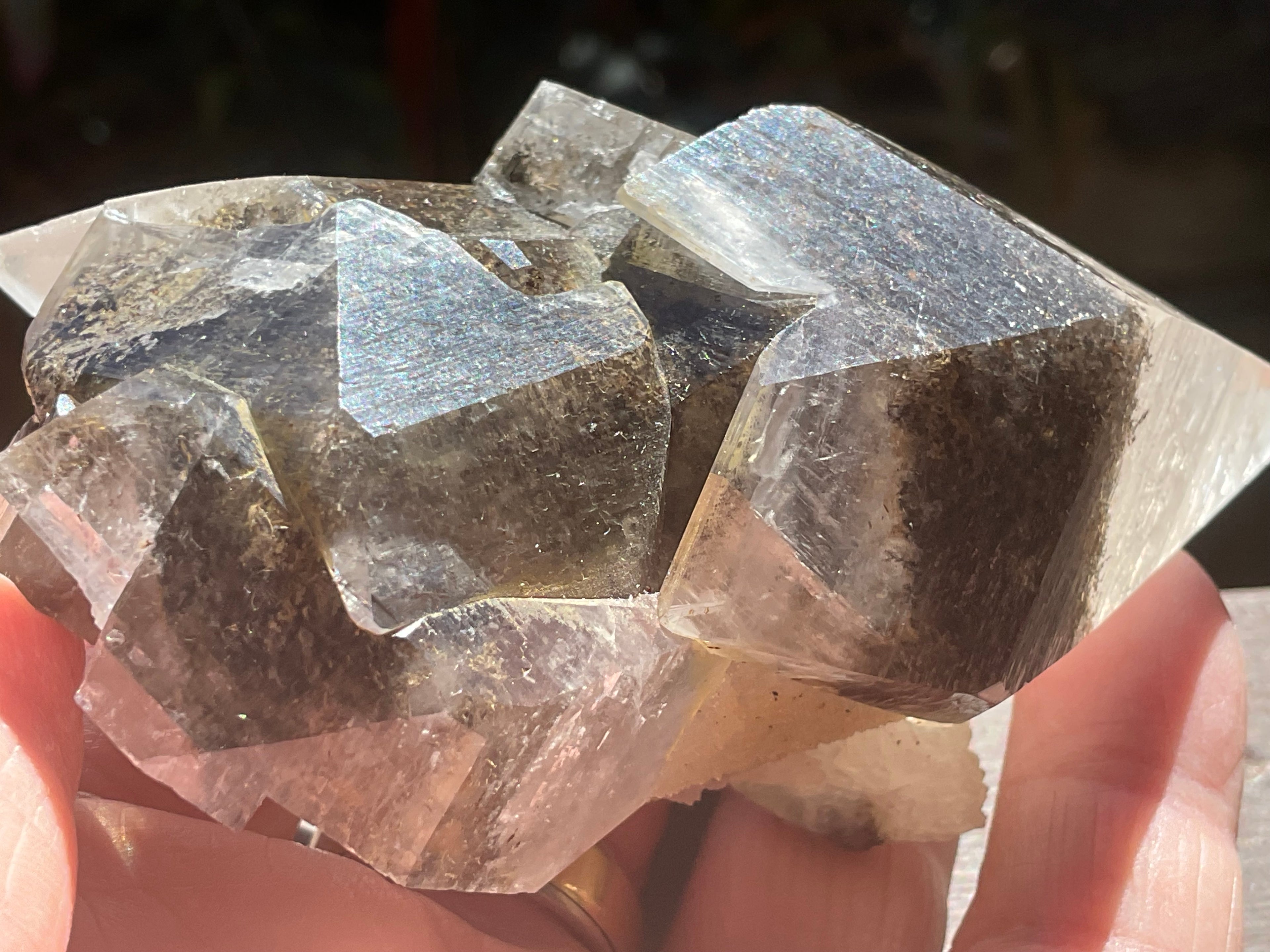 228g Dendritic Dog Tooth Calcite specimen from Fujian, China