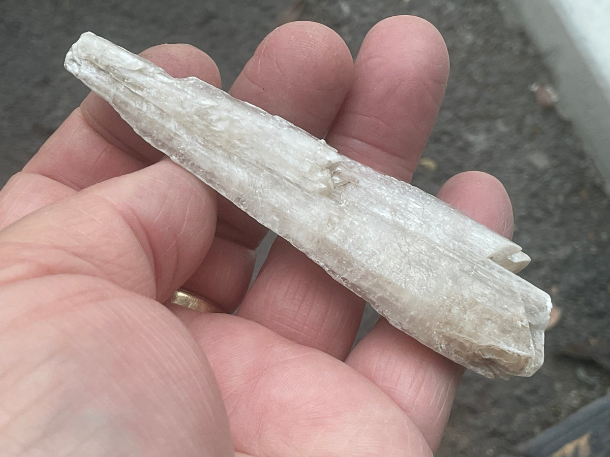 23g Australian Gypsum Spear 5B