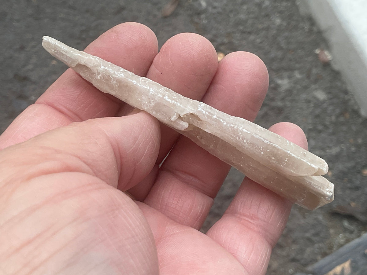 23g Australian Gypsum Spear 5B