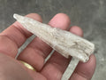 18g Australian Gypsum Spear 5C