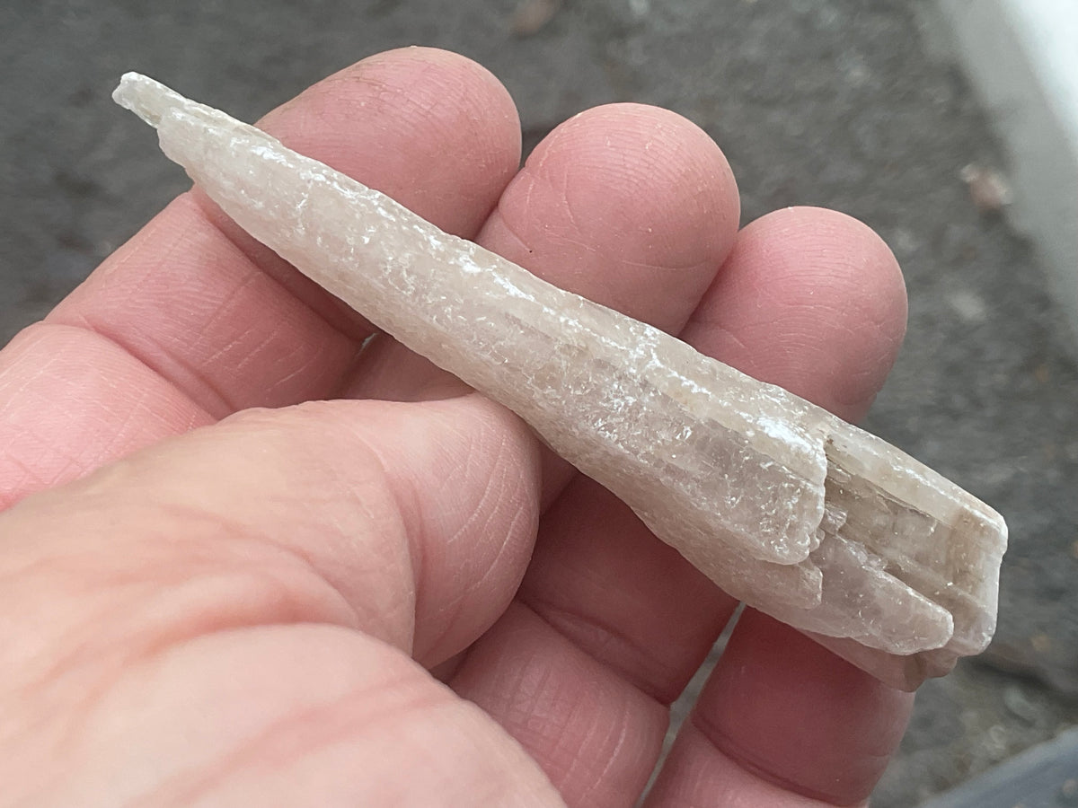 18g Australian Gypsum Spear 5C