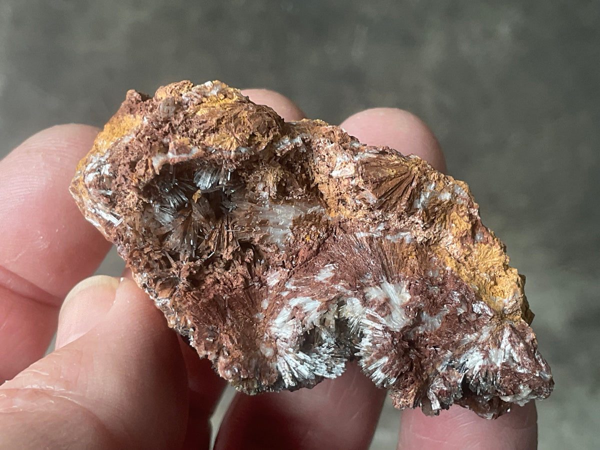 54g Scholzite with Cryptomelane Specimen B from South Australia