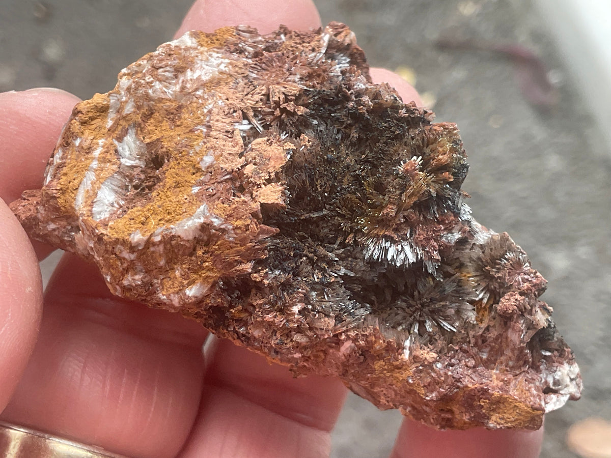 54g Scholzite with Cryptomelane Specimen B from South Australia