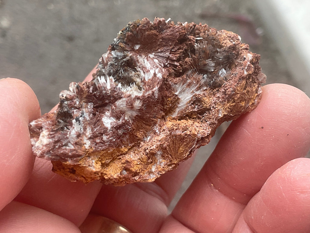 54g Scholzite with Cryptomelane Specimen B from South Australia