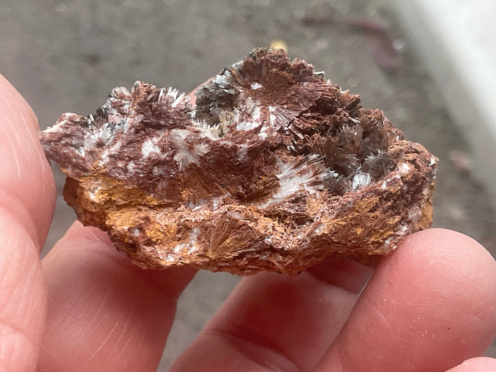 54g Scholzite with Cryptomelane Specimen B from South Australia