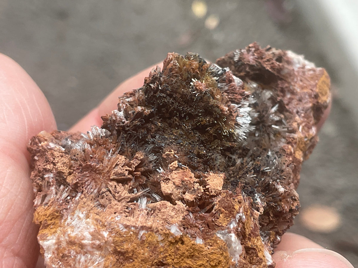 54g Scholzite with Cryptomelane Specimen B from South Australia