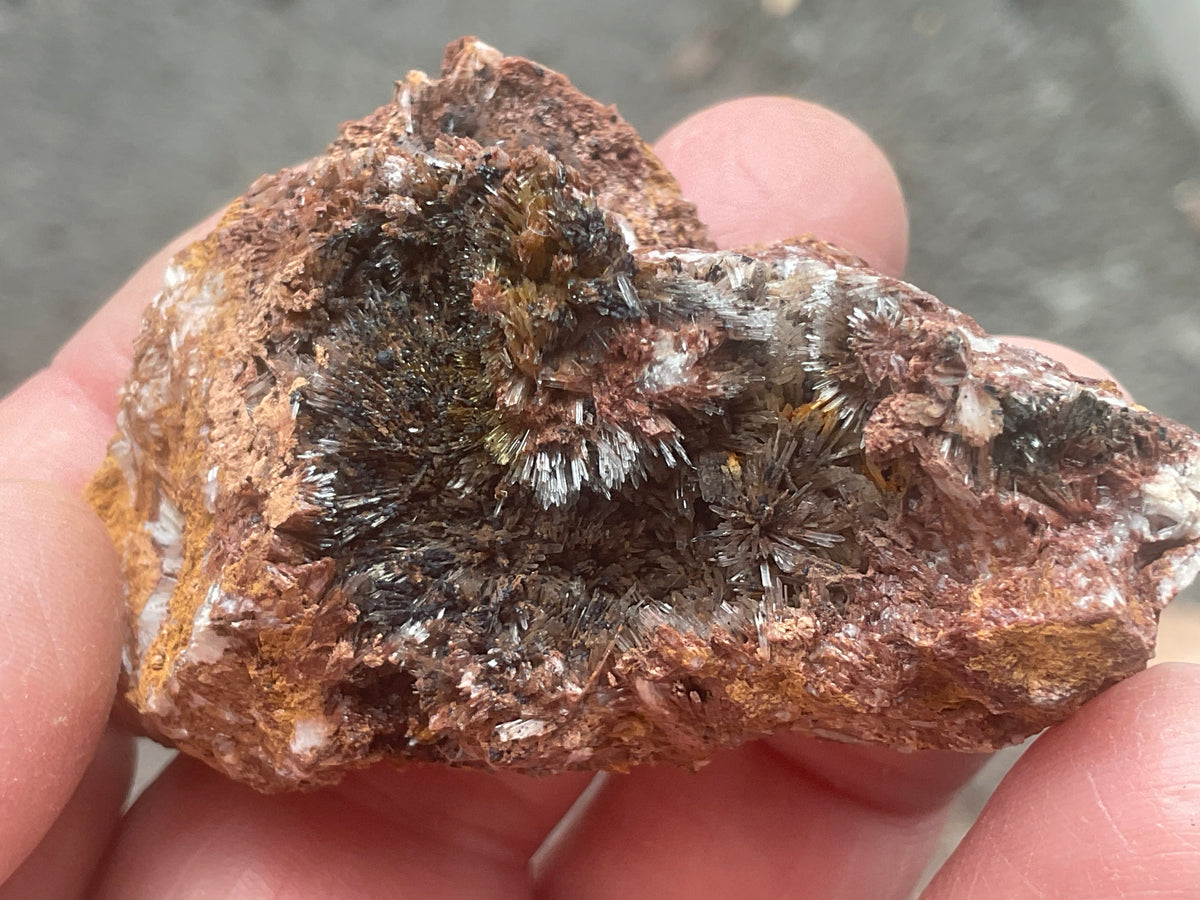 54g Scholzite with Cryptomelane Specimen B from South Australia