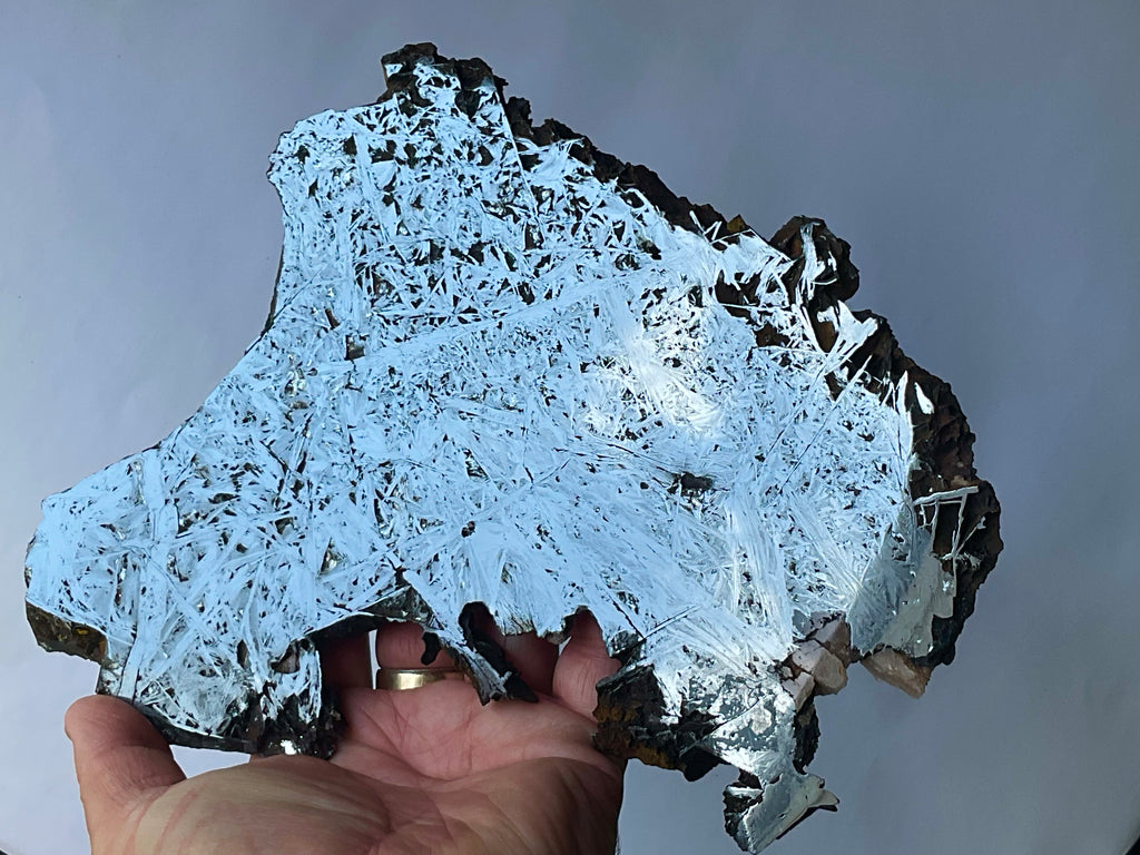 818g Polished Reticulated Hematite Slab