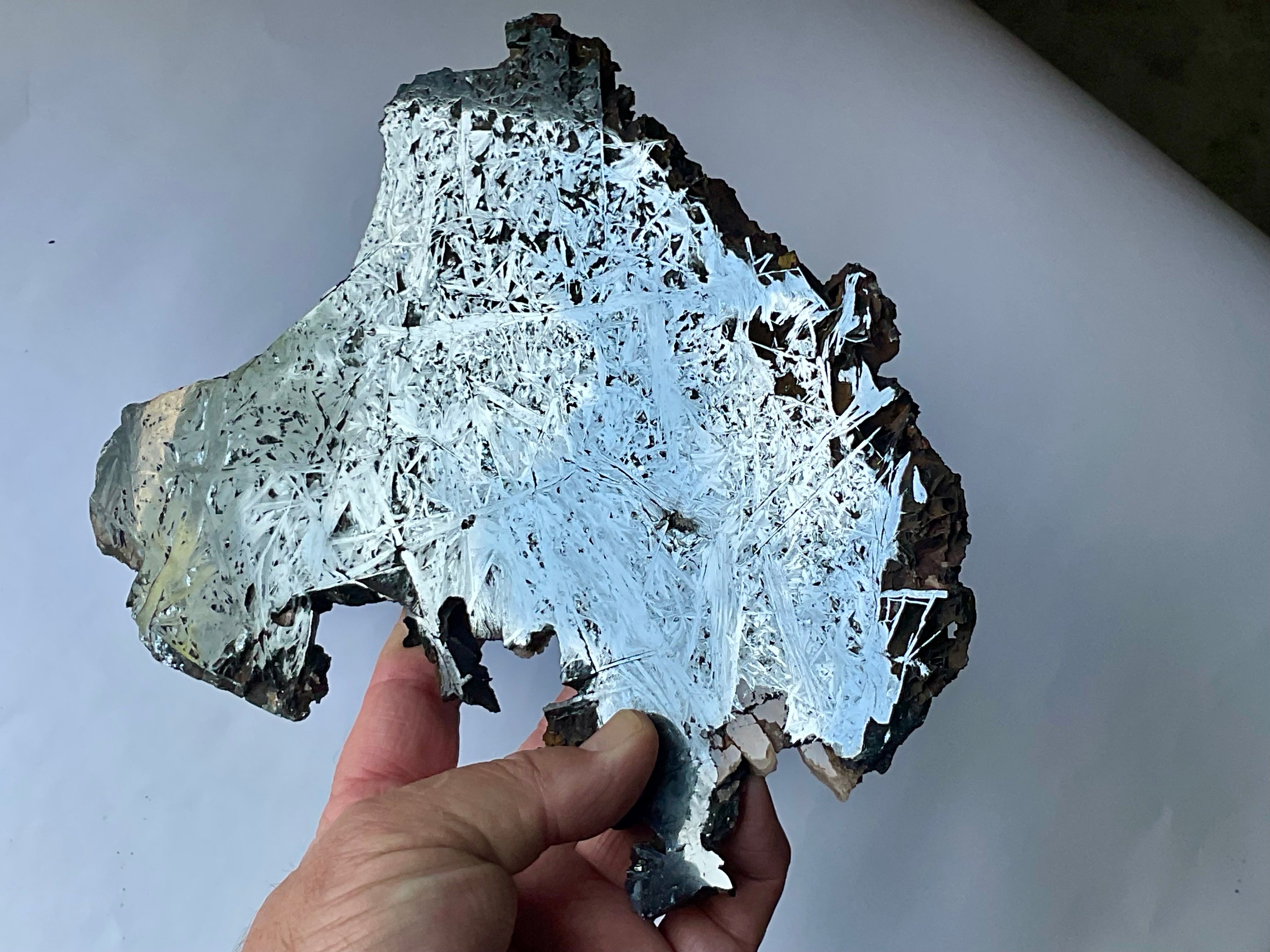 818g Polished Reticulated Hematite Slab