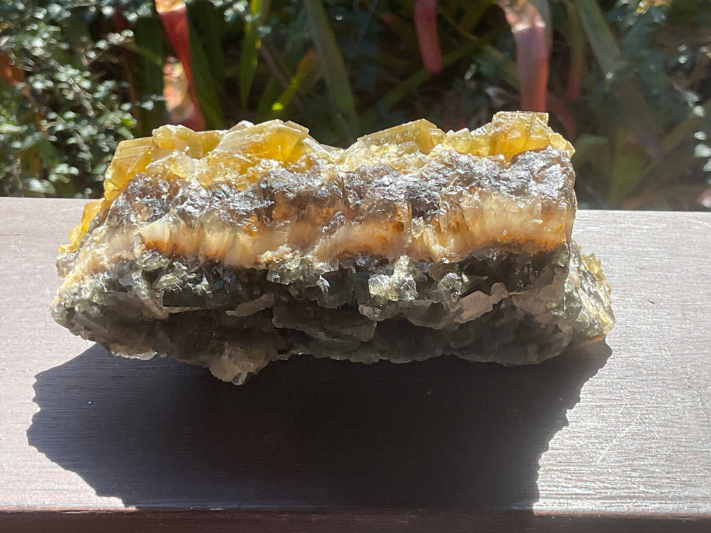 1162g Large Tabular Golden Baryte on Botryoidal Fluorite Specimen