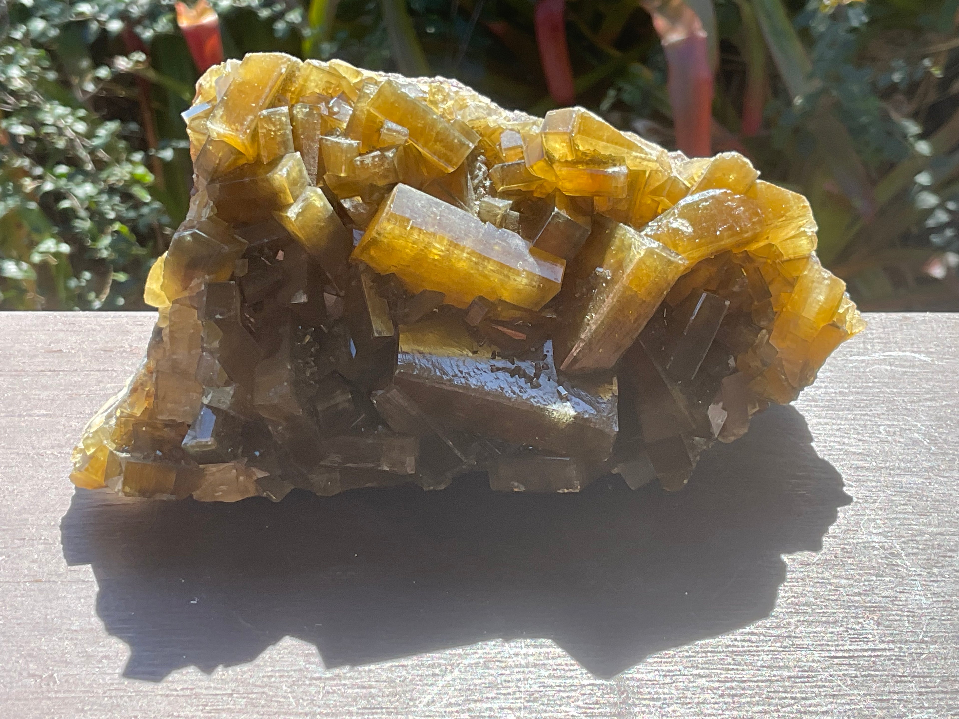 1162g Large Tabular Golden Baryte on Botryoidal Fluorite Specimen