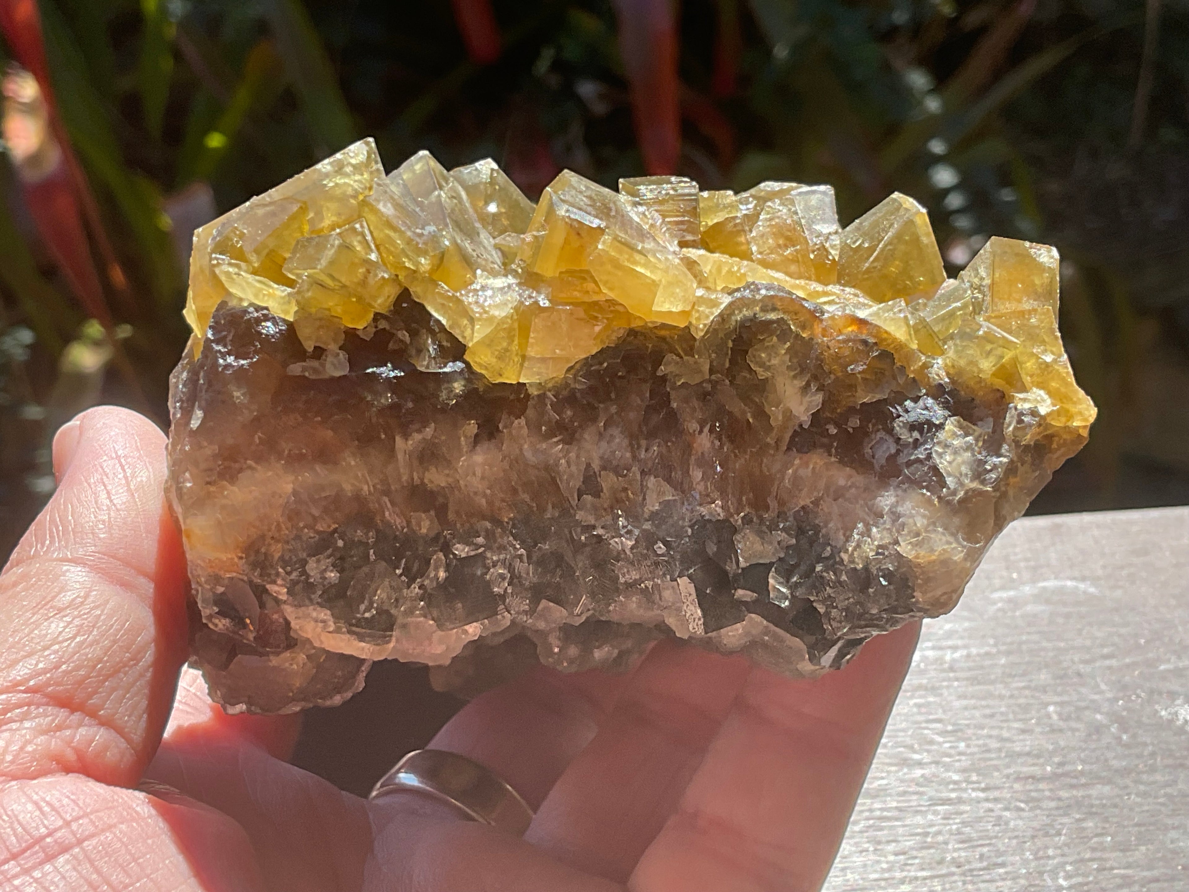 1162g Large Tabular Golden Baryte on Botryoidal Fluorite Specimen