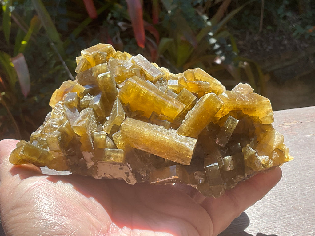 1162g Large Tabular Golden Baryte on Botryoidal Fluorite Specimen