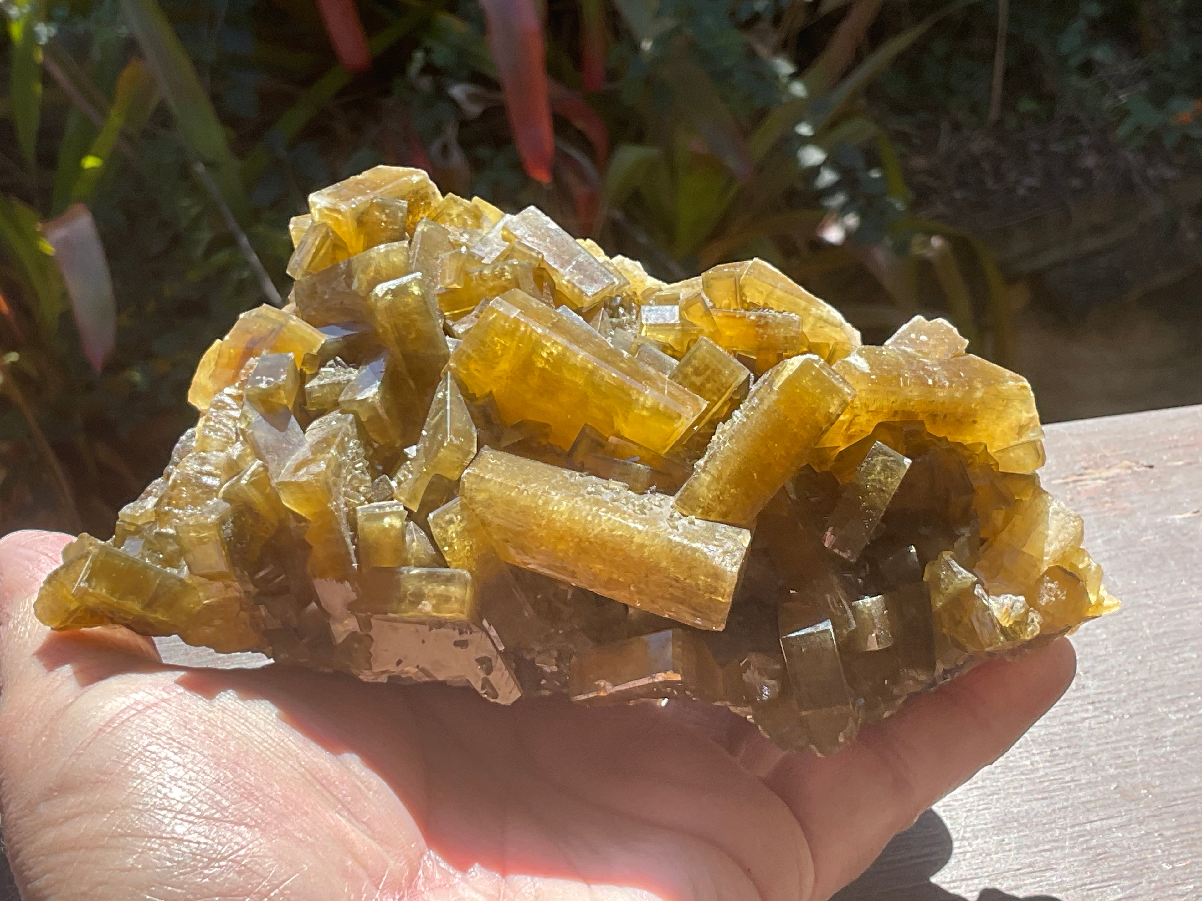 1162g Large Tabular Golden Baryte on Botryoidal Fluorite Specimen