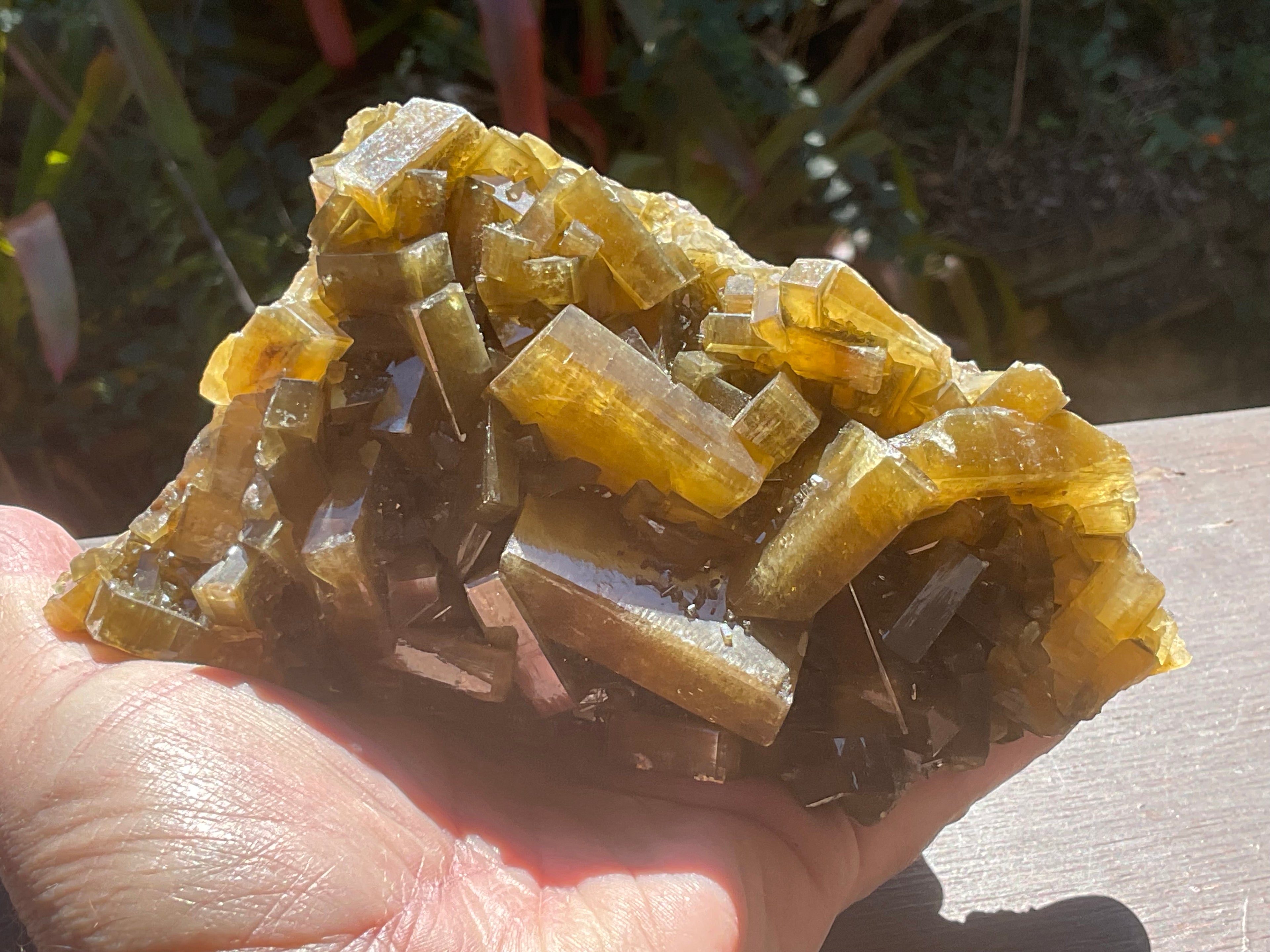 1162g Large Tabular Golden Baryte on Botryoidal Fluorite Specimen