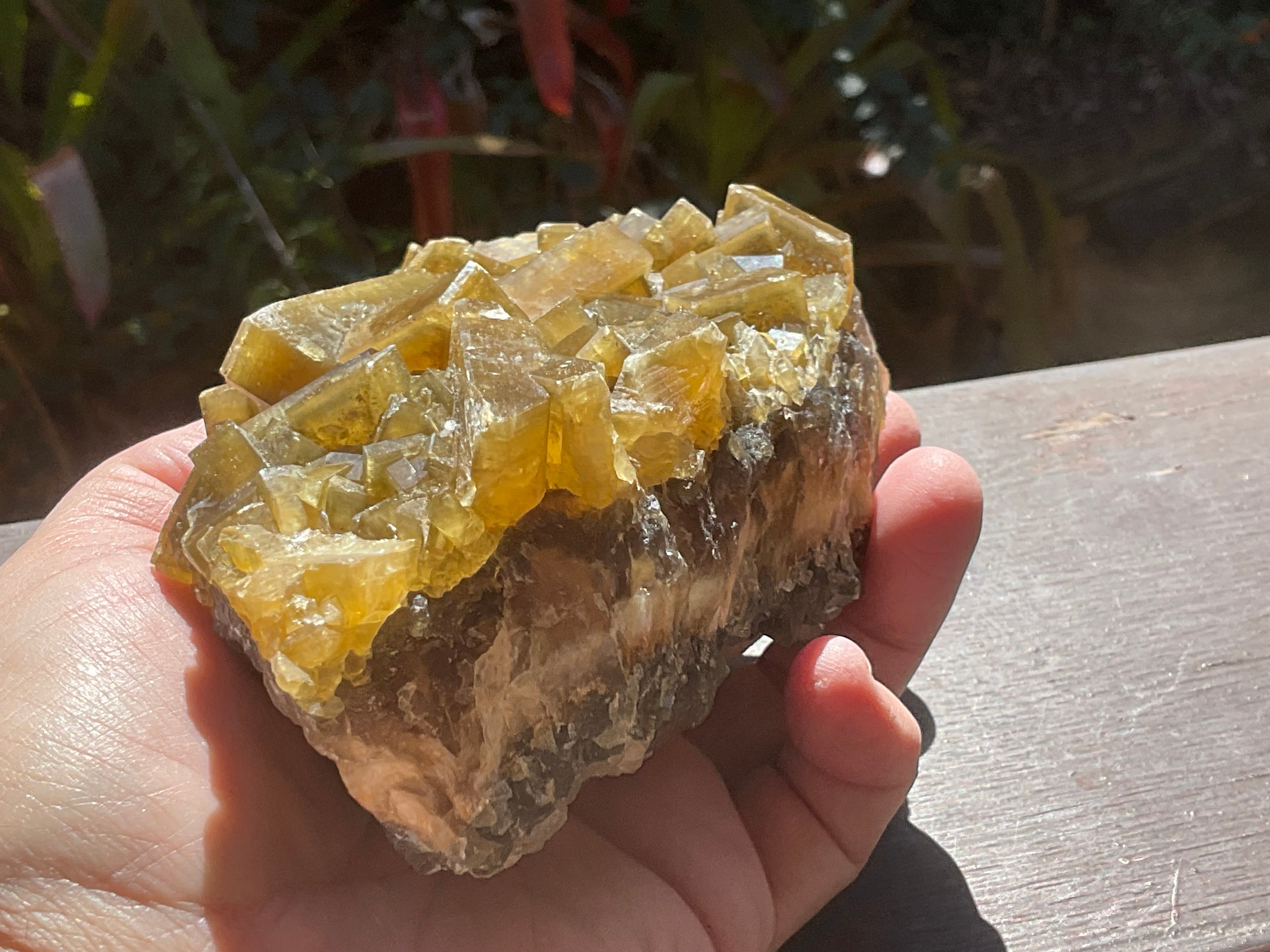 1162g Large Tabular Golden Baryte on Botryoidal Fluorite Specimen