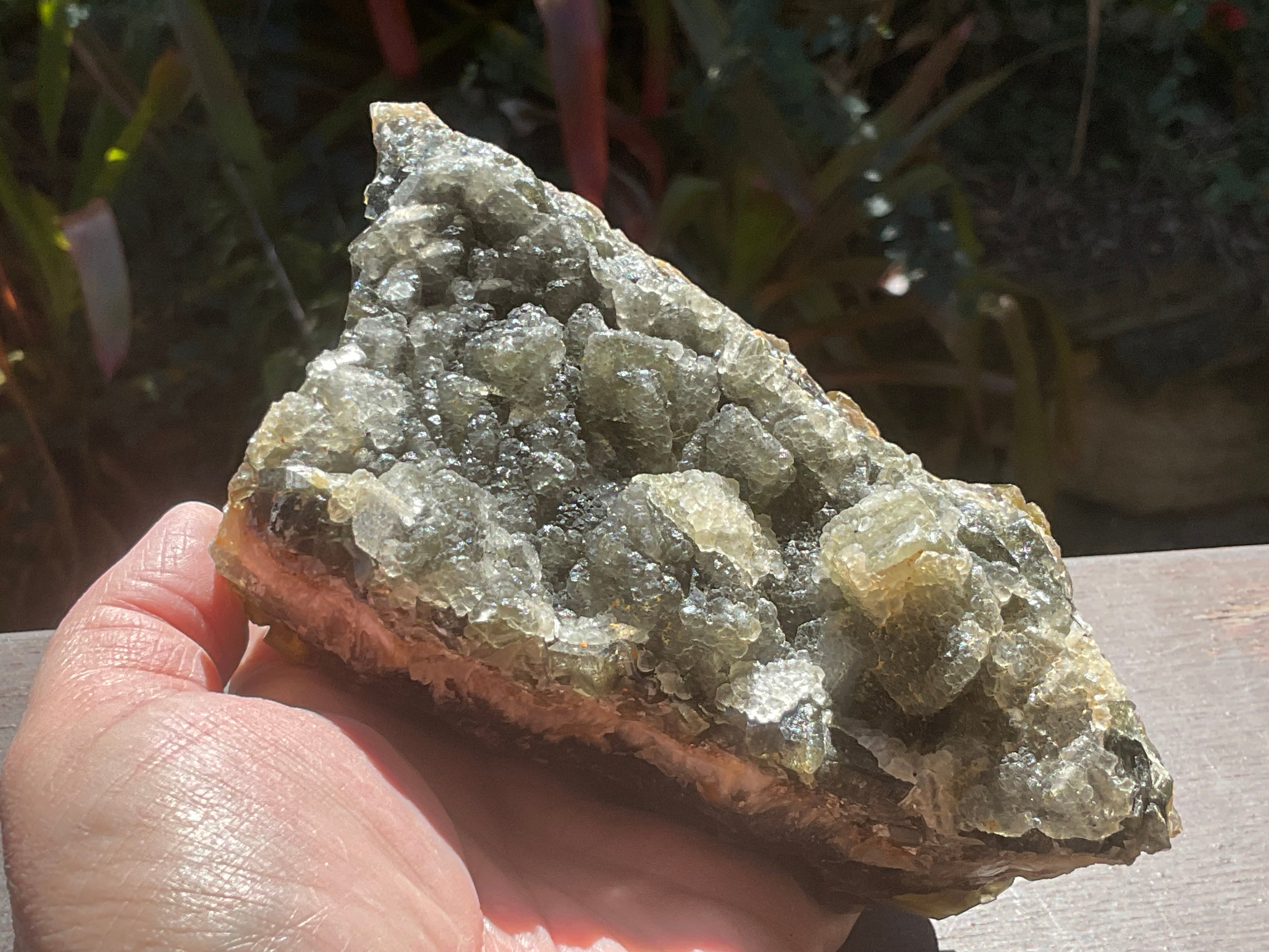 1162g Large Tabular Golden Baryte on Botryoidal Fluorite Specimen