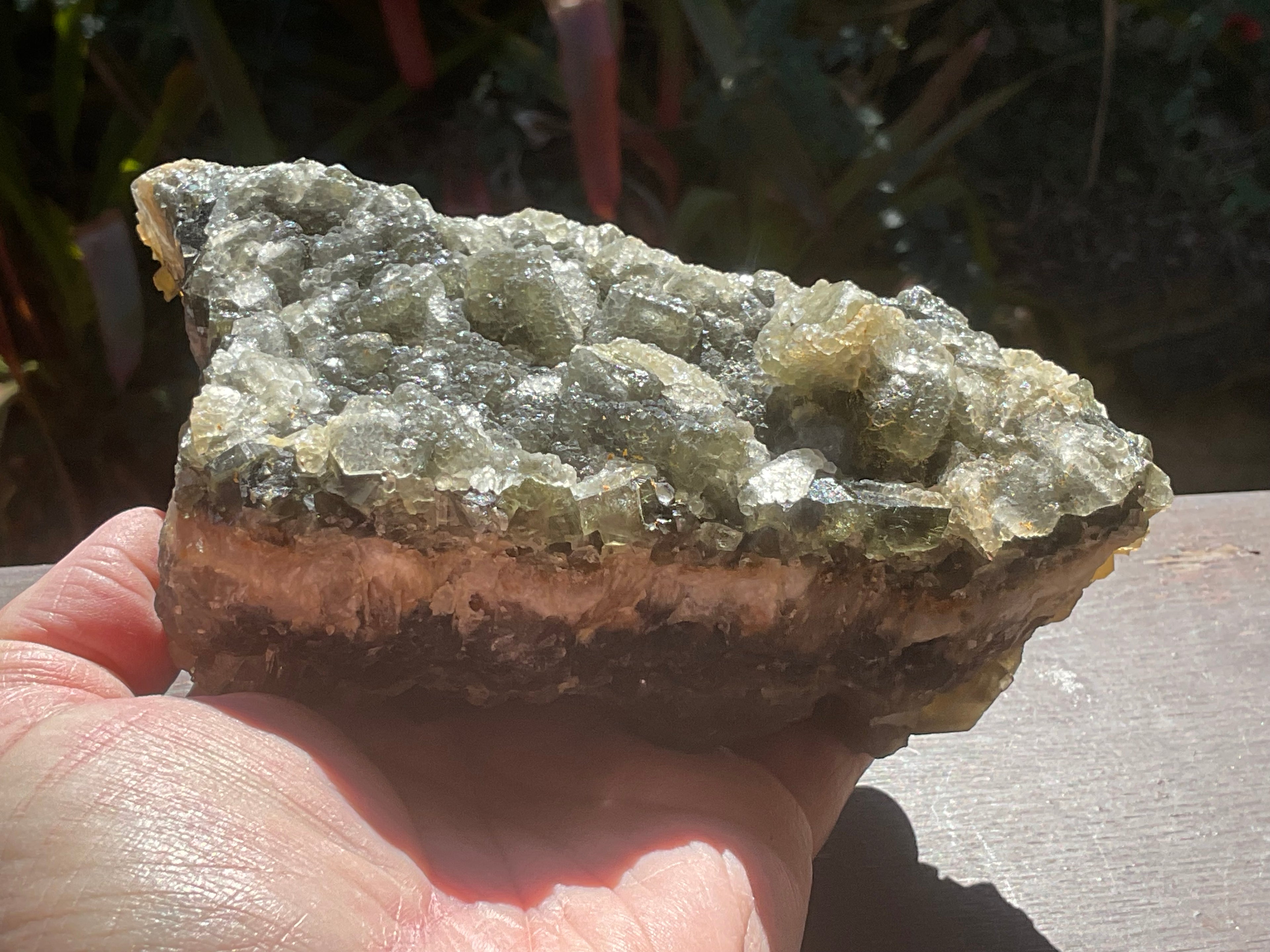 1162g Large Tabular Golden Baryte on Botryoidal Fluorite Specimen