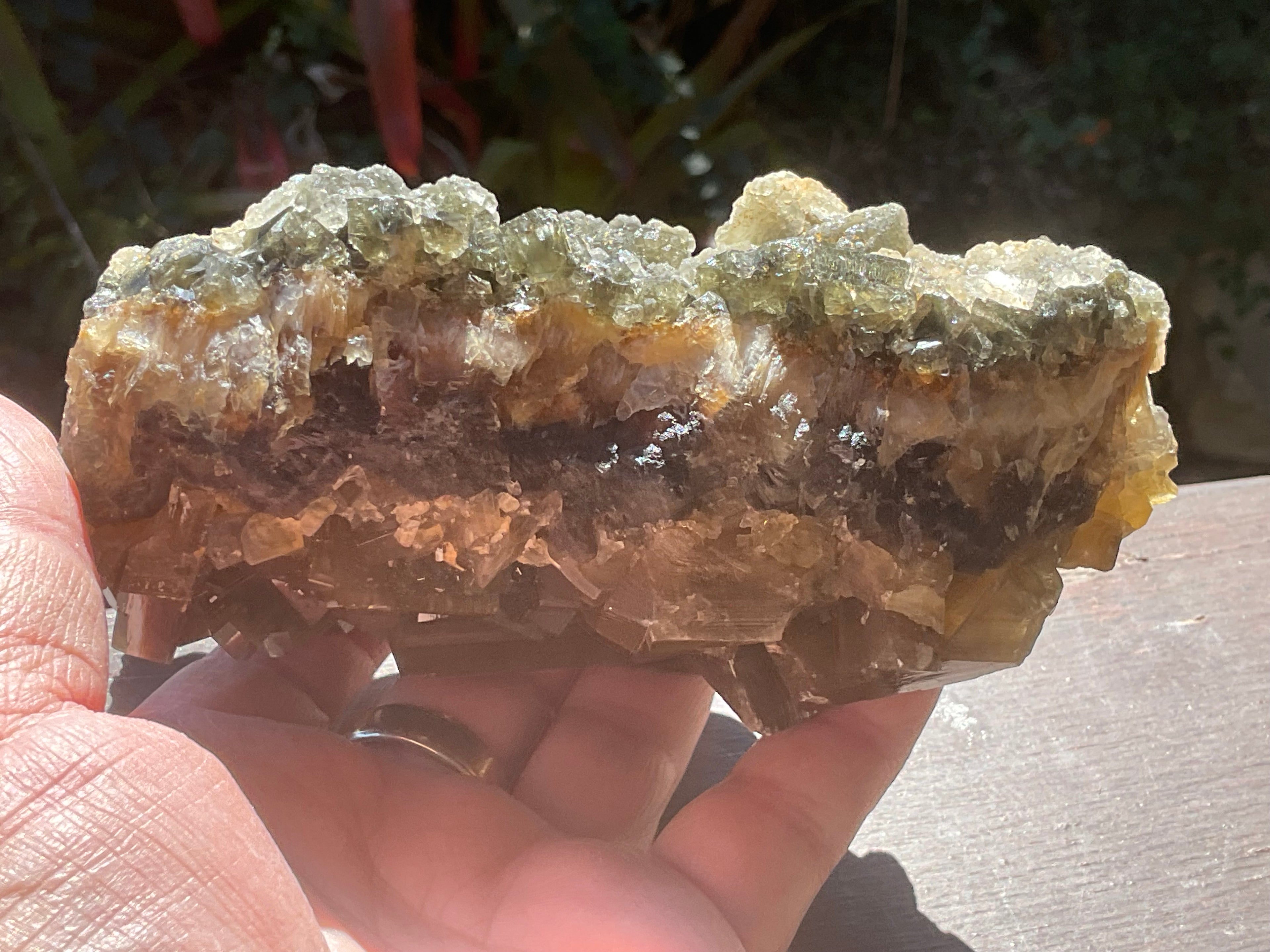 1162g Large Tabular Golden Baryte on Botryoidal Fluorite Specimen