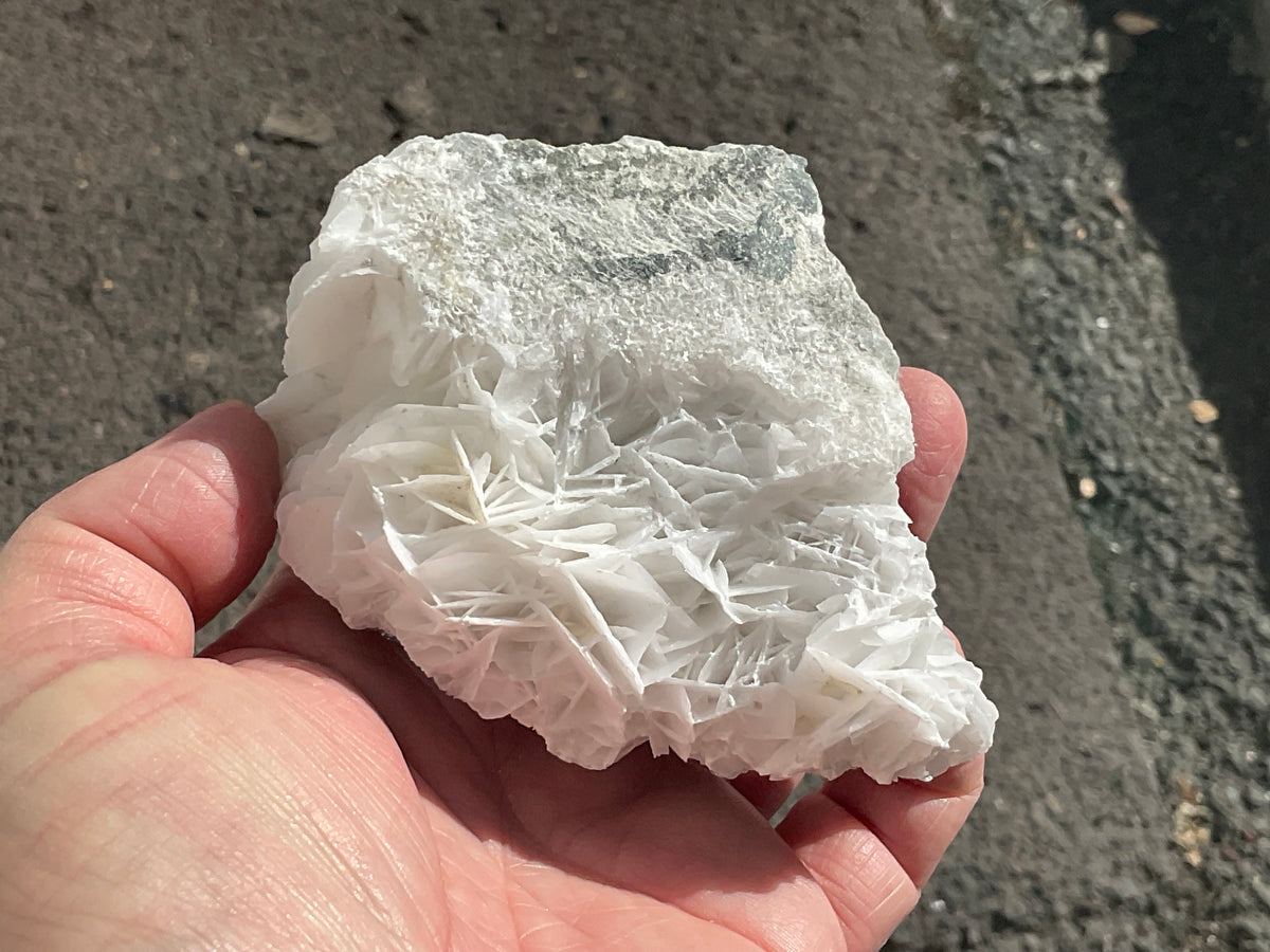 325g Angel Wing Calcite Specimen E