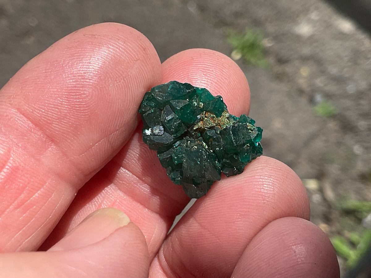 2g Congolese Dioptase Specimen 13A