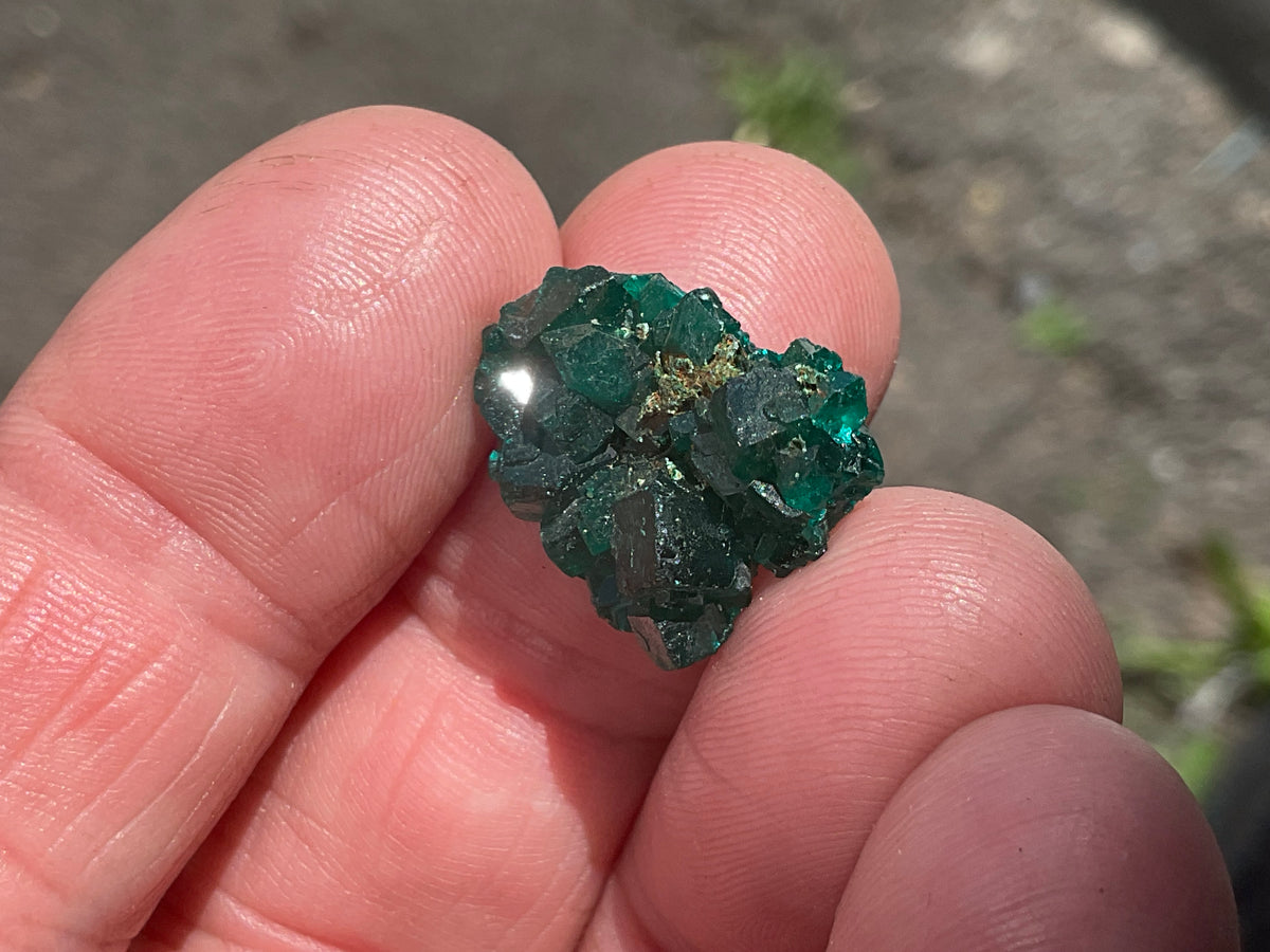 2g Congolese Dioptase Specimen 13A