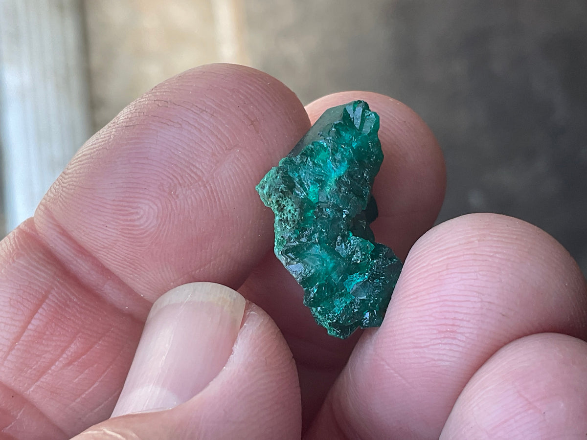 2g Congolese Dioptase Specimen 13B