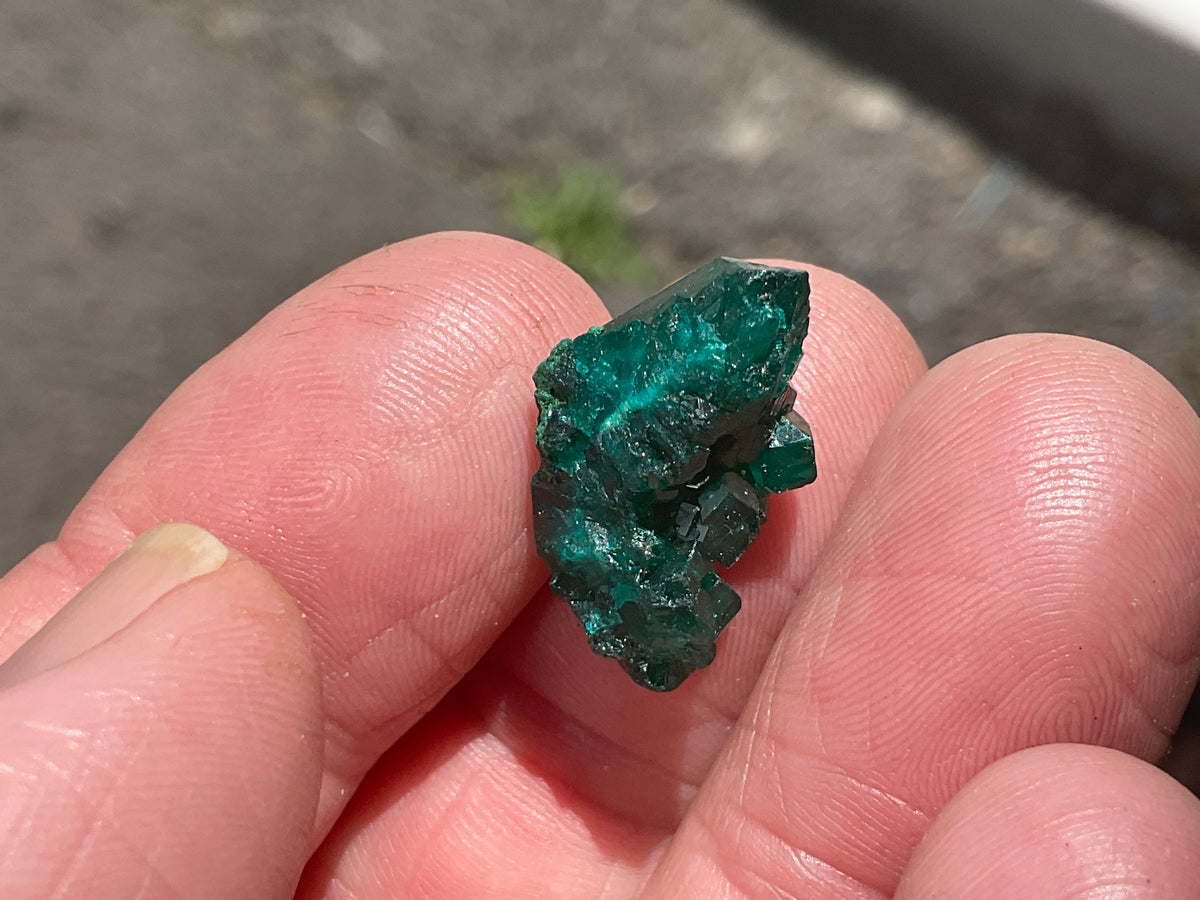 2g Congolese Dioptase Specimen 13B
