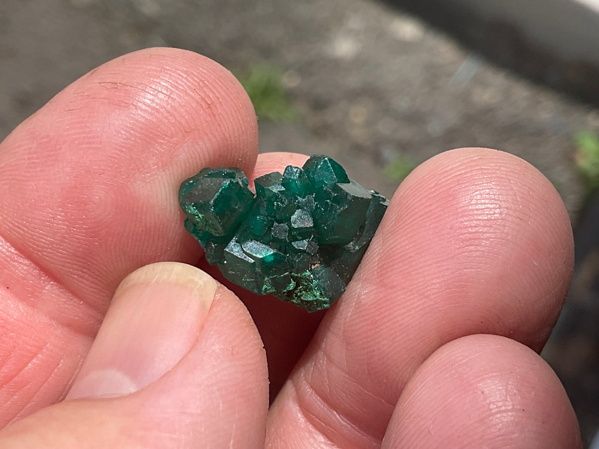2g Congolese Dioptase Specimen 13B