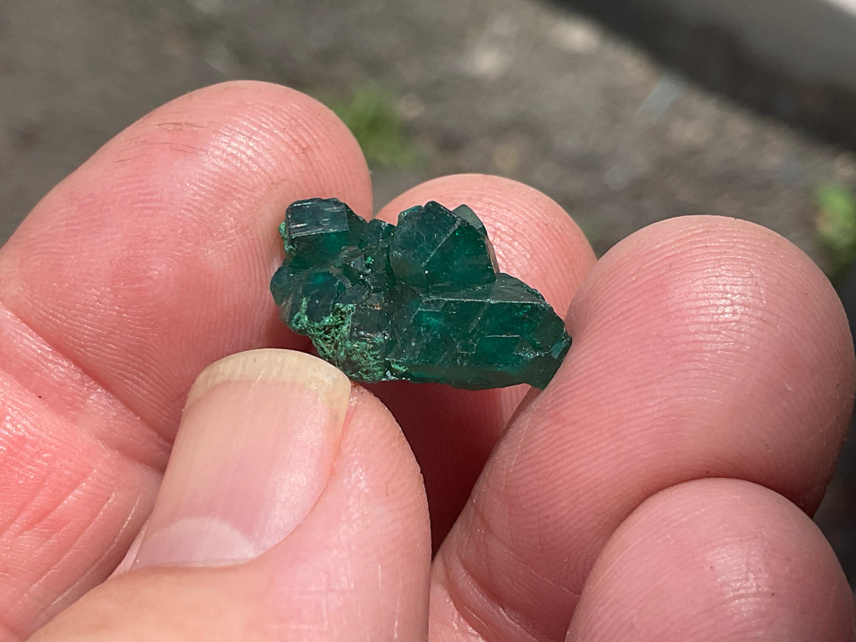 2g Congolese Dioptase Specimen 13B
