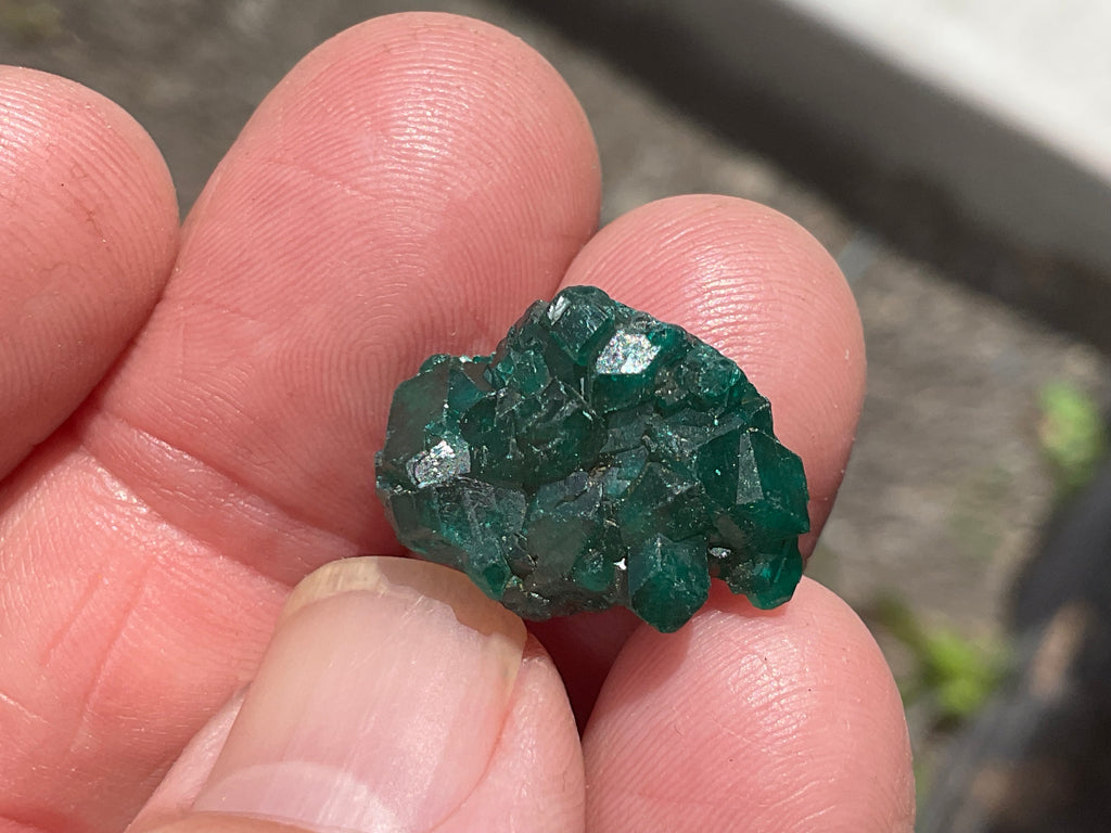 4g Congolese Dioptase Specimen 13C
