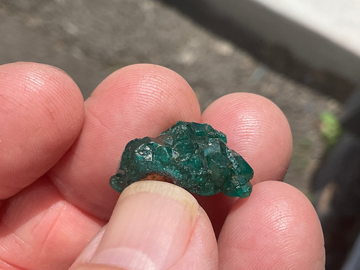 4g Congolese Dioptase Specimen 13C