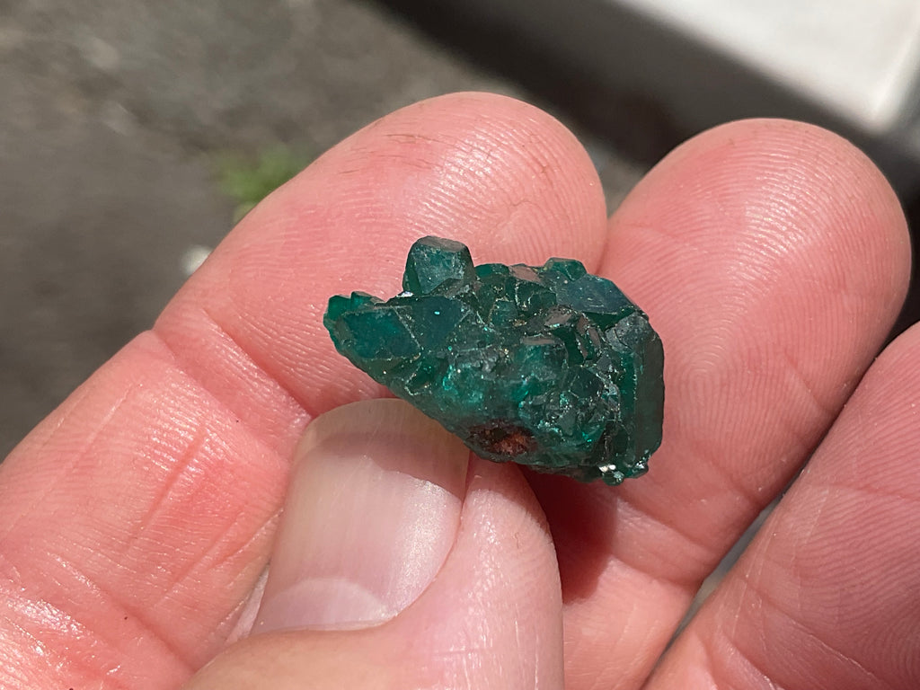 4g Congolese Dioptase Specimen 13C