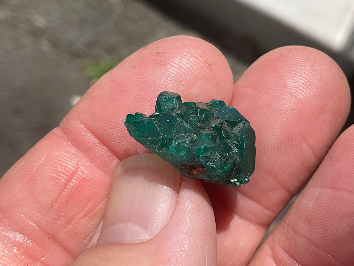 4g Congolese Dioptase Specimen 13C