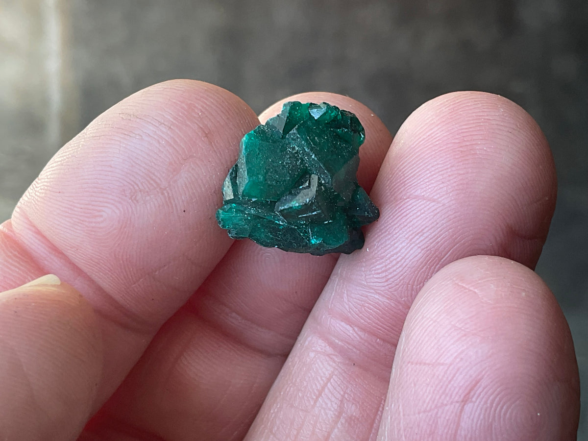2g Congolese Dioptase Specimen 14A
