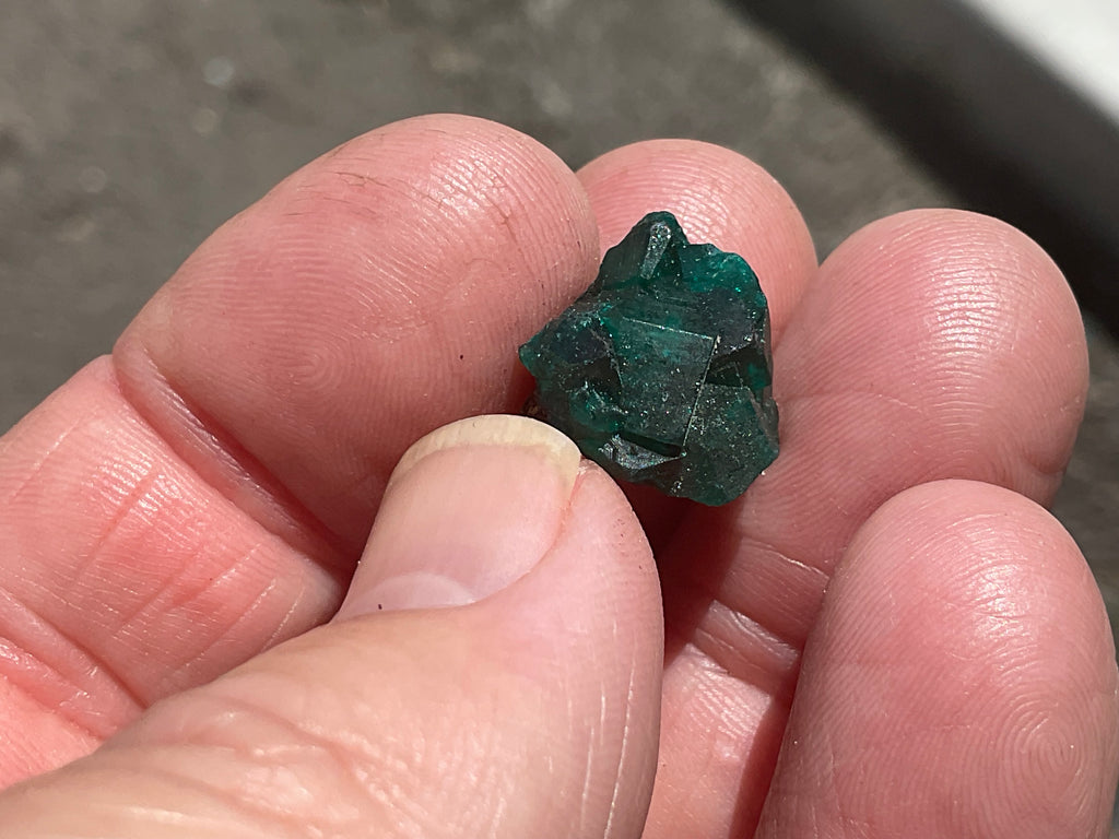 2g Congolese Dioptase Specimen 14A