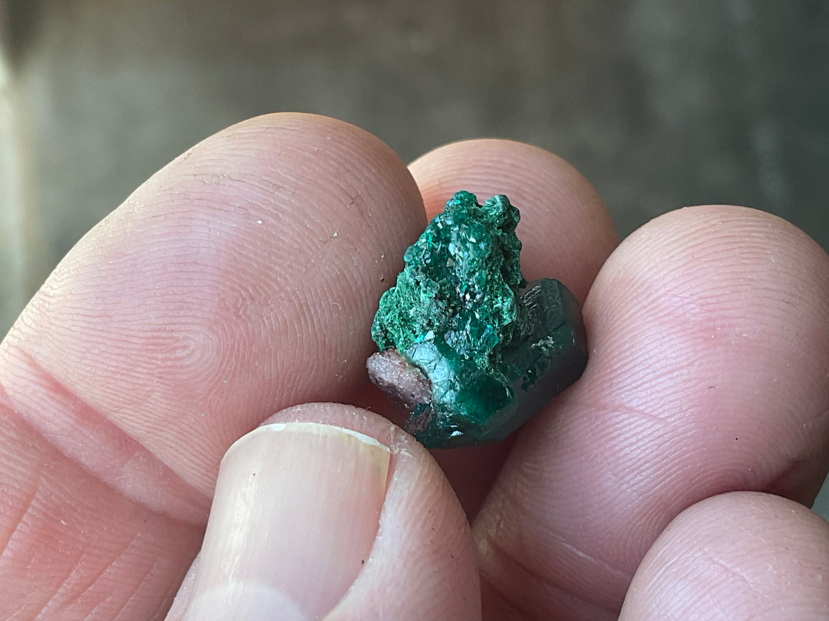 2g Congolese Dioptase Specimen 14B