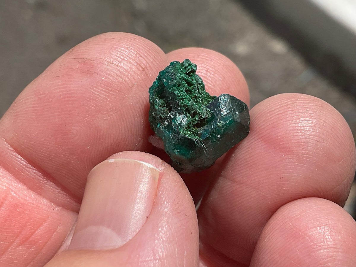 2g Congolese Dioptase Specimen 14B