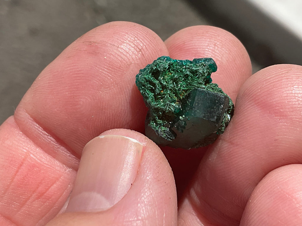 2g Congolese Dioptase Specimen 14B