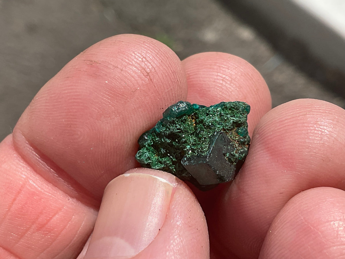 2g Congolese Dioptase Specimen 14B