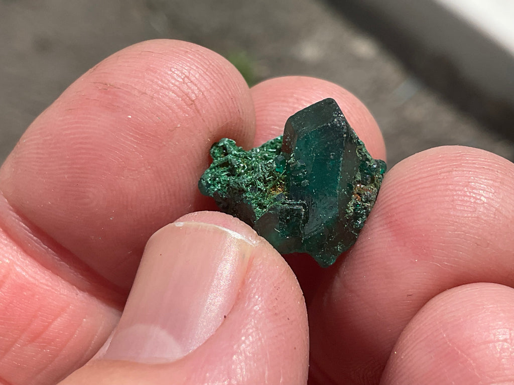 2g Congolese Dioptase Specimen 14B