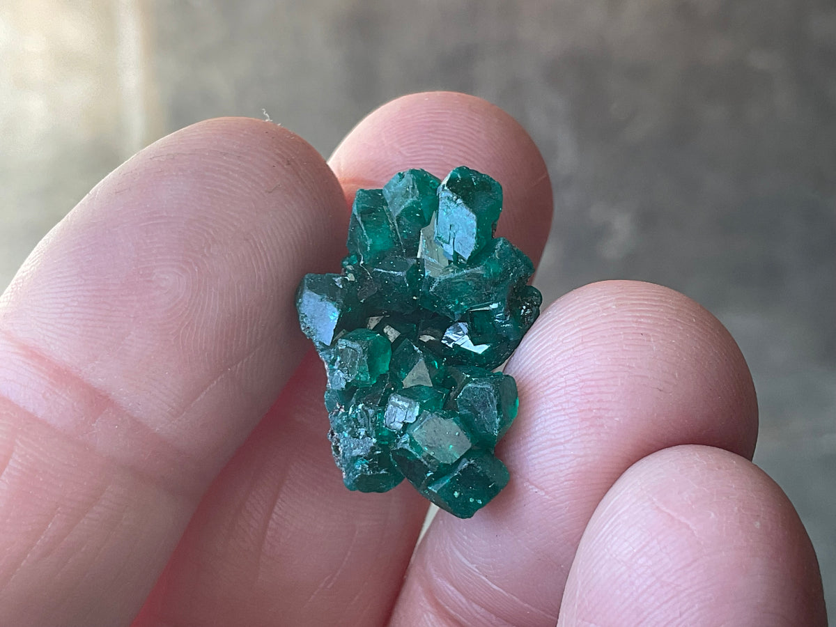 4g Congolese Dioptase Specimen 14C