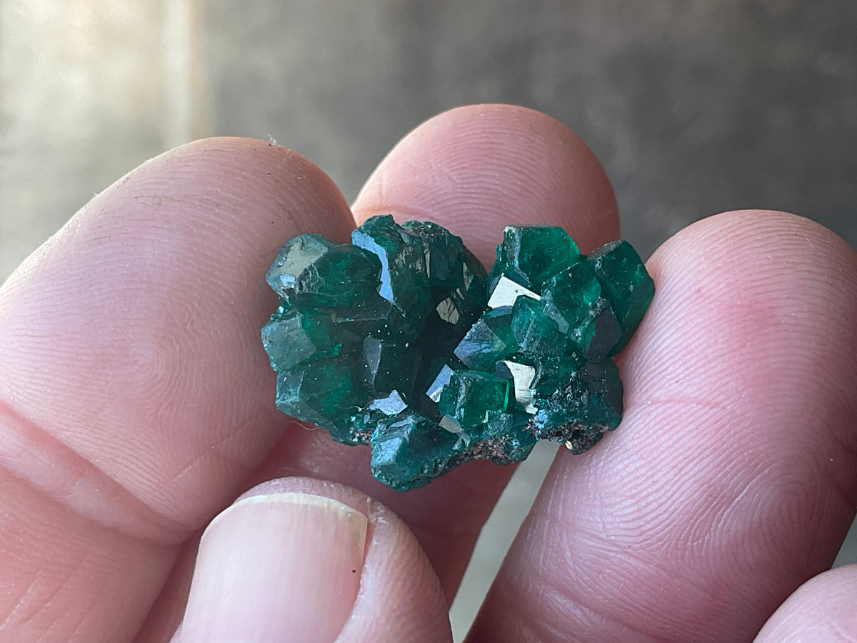 4g Congolese Dioptase Specimen 14C