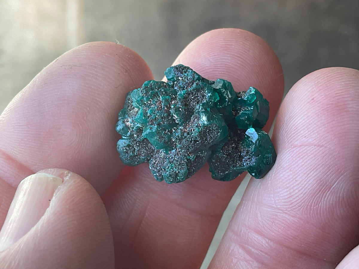 4g Congolese Dioptase Specimen 14C