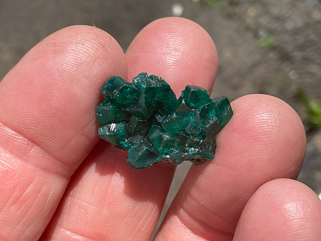 4g Congolese Dioptase Specimen 14C
