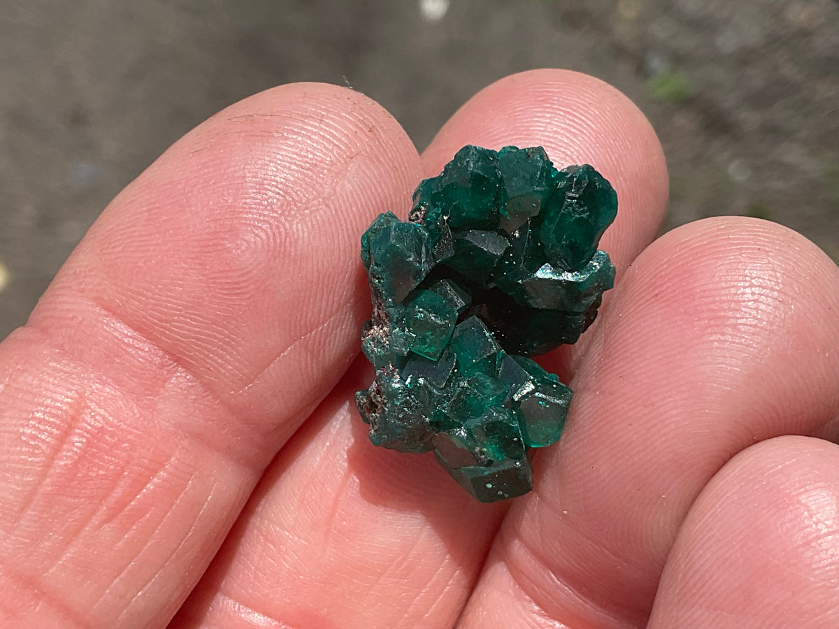 4g Congolese Dioptase Specimen 14C