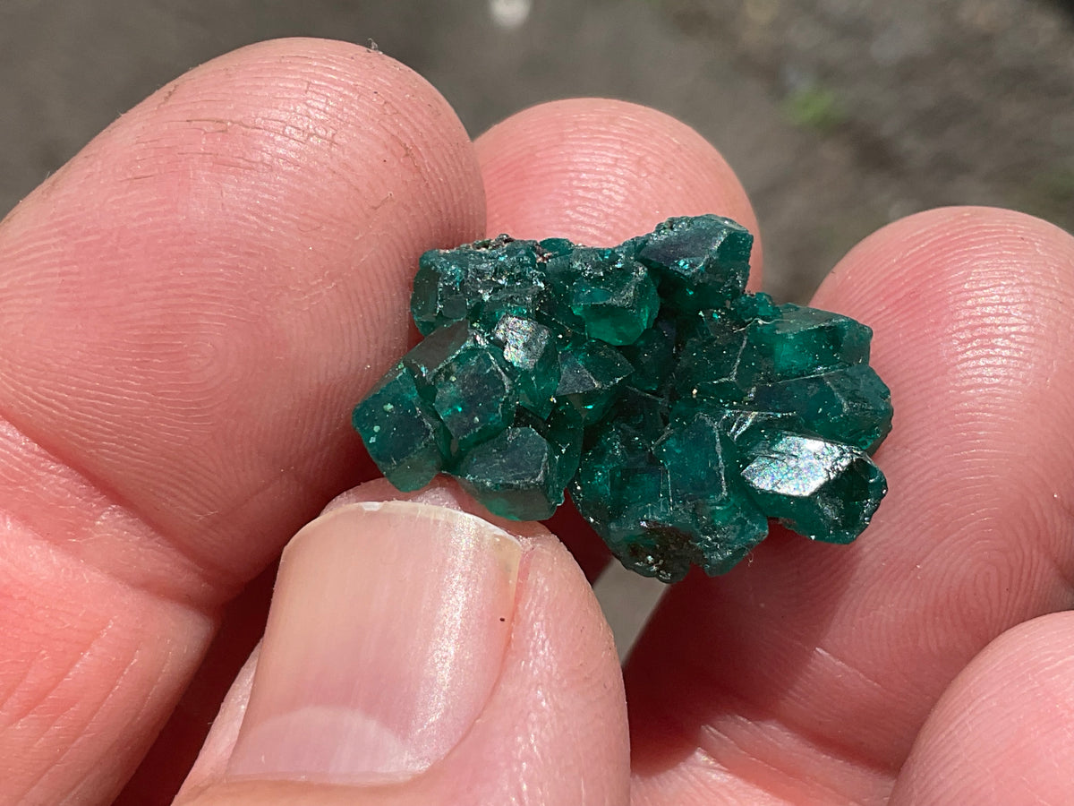 4g Congolese Dioptase Specimen 14C