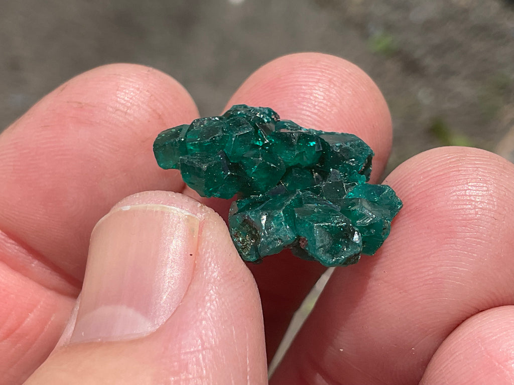 4g Congolese Dioptase Specimen 14C