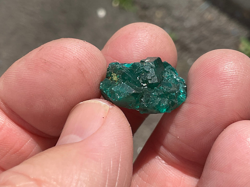 4g Congolese Dioptase Specimen 15A
